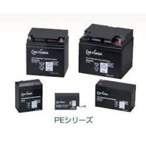 PE6V48B2/A GSユアサ製 畜電池・バッテリー（標準タイプ） 6V/48Ah GSユアサ