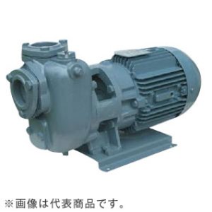 画像: 25SQFD5.25B エバラ IE3ポンプ 25SQFD5.25B(0.25KW 200V 50Hz) 荏原製作所(EBARA)