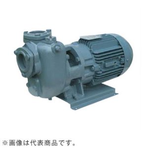 画像: 32SQGD6.4B エバラ IE3ポンプ 32SQGD6.4B(0.4KW 200V 60Hz) 荏原製作所(EBARA)