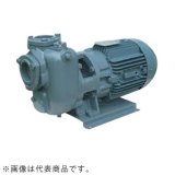 画像: 40SQED6.4B エバラ IE3ポンプ 40SQED6.4B(0.4KW 200V 60Hz) 荏原製作所(EBARA)