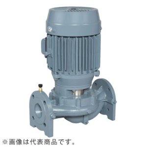 画像: 65LPD5.75E エバラ IE3ポンプ 65LPD5.75E(0.75KW 200V 50Hz) 荏原製作所(EBARA)