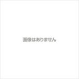 画像: P10030 SANYO UPS P10030 (コンセントボックス)  山洋電気