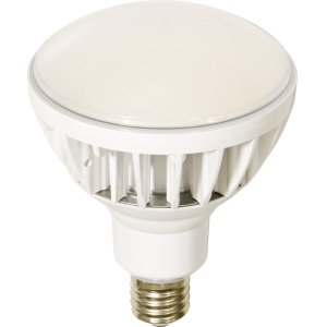 画像: L40V2-J110-30K ハイスペックエコビック40W  日動工業 4937305060346