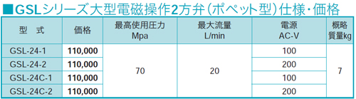 GSL-24C-DC24 RIKEN 油圧バルブ RIKEN 理研機器(リケン) 【送料無料